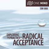 Exploring the Practice of Radical Acceptance with Morgan Dix