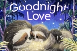 “Goodnight Love: A Bedtime Meditation Story”