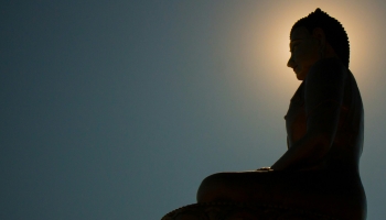 Can Meditation Improve Logical Reasoning?